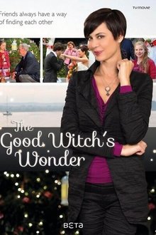 The Good Witch’s Wonder (2014)
