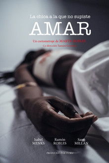 The Girl You Didn’t Know How to Love poster