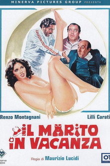 Il marito in vacanza poster