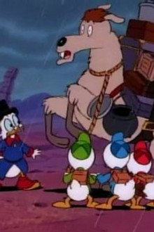 Wronguay in Ronguay (2)