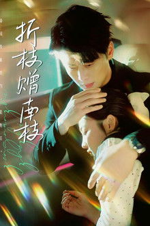 折枝赠南枝 poster