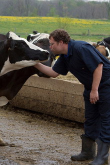 Udder Madness