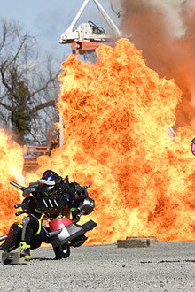 The Max Dead or Alive!