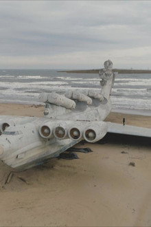 The Beached Leviathan