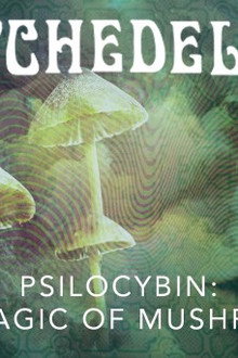 Psilocybin: The Magic of Mushrooms