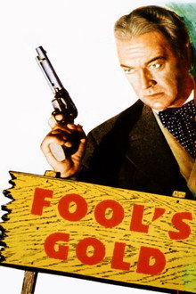Fool's Gold poster