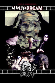 Ninja Dream poster