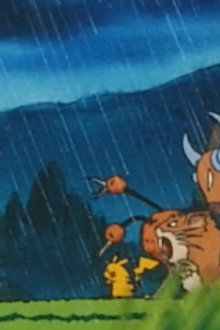 Lights, Camera, Quack-tion