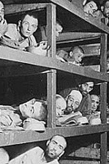Holocaust on Trial