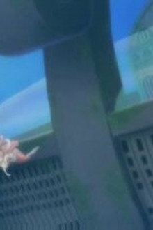 Hurry Up, Luffy! Shirahoshi's Desperate Situation