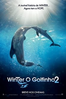 Imagem Winter, o Golfinho 2