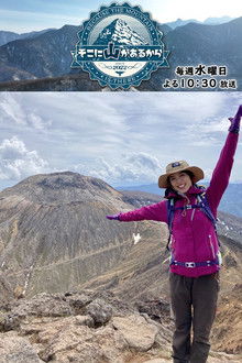 Because the Mountain is There poster