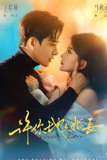 许你地久婚长 poster