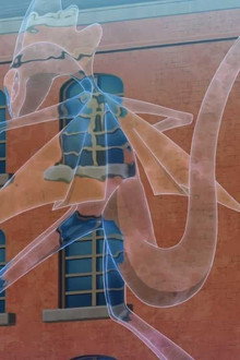 Sobble Spies a Stealthy Strategy!