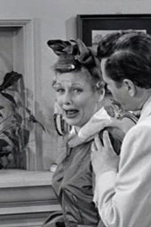 Lucy Wants New Furniture