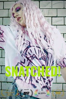 Snatched! poster