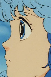 Happening of the Celebration