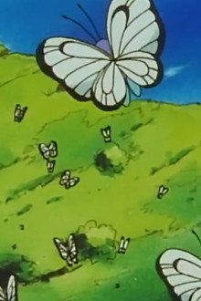 Bye Bye Butterfree