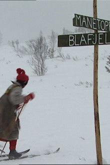 Nissekusine and Nissebror