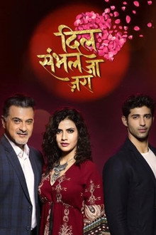 Dil Sambhal Jaa Zara poster