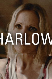 P.I. Charlie Shannon vs Amy Harlow 2003