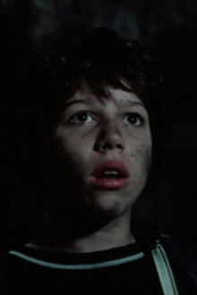 Five Go Off to Camp (2)