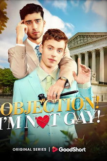 Objection! I'm Not Gay! poster