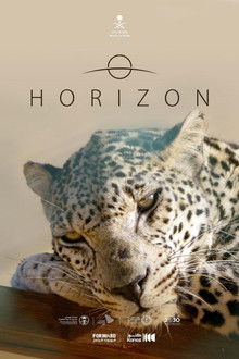 Horizon poster