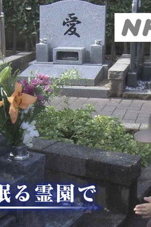 At the Pet Cemetery Where Animals Rest in Peace