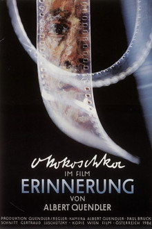 Erinnerung - ein Film mit Oskar Kokoschka poster