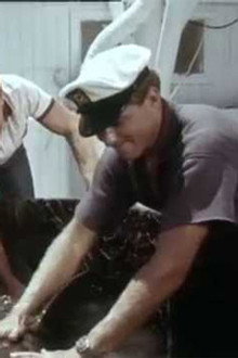 Flipper's Odyssey (1)