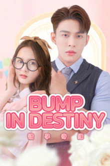 Bump in Destiny poster