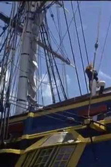 Flipper And The Bounty