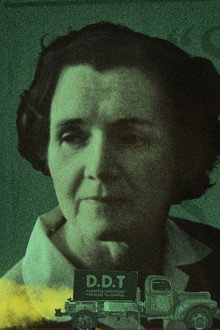 Rachel Carson