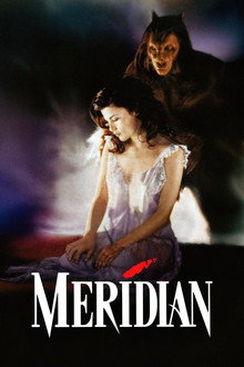 Meridian poster