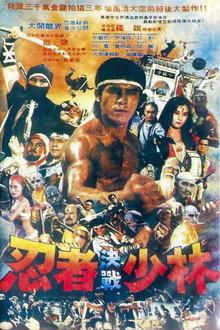 忍者決戰少林 poster