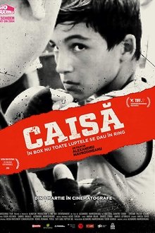Caisă