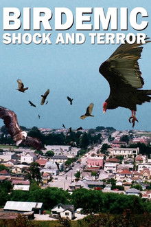 Birdemic: Shock and Terror poster