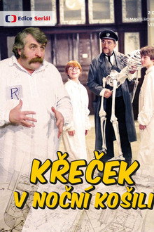 Křeček v noční košili poster