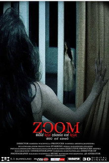 ZOOM poster