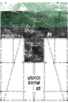 When Mushroom Blooms poster