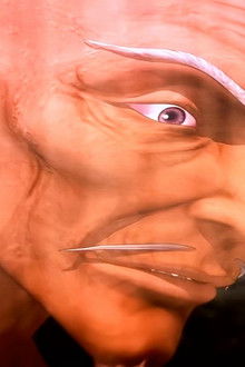 Against the Flow to the Black Turtle