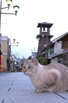 Kawagoe and Chichibu
