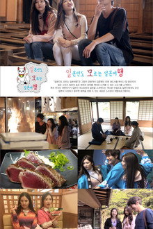 일본인도 모르는 일본여행 poster