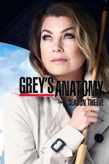 Grey’s Anatomy (2015) Season 12