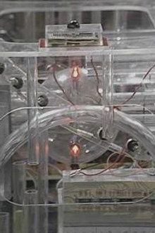 Orac