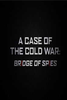 A Case of the Cold War: Bridge of Spies poster