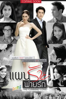 The Cunning Love poster