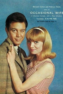 Occasional Wife poster