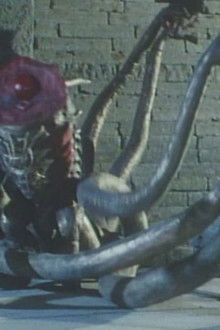 The Fallen Empire Swallowed by the Pacific Ocean